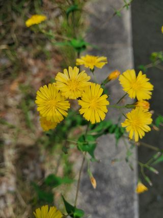봉우재농부님의 자유주제 · 사진전 작성글 사진