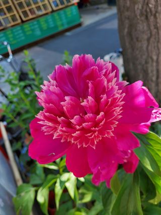 봉우재농부님의 자유주제 · 사진전 작성글 사진