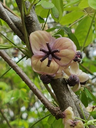 봉우재농부님의 자유주제 · 사진전 작성글 사진