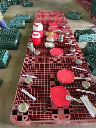 남문희님의 옥수수 · 자유게시판 작성글 사진