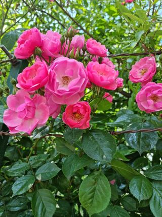 별다해님의 자유주제 · 사진전 작성글 사진