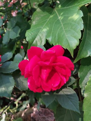 별다해님의 자유주제 · 사진전 작성글 사진