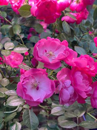 별다해님의 자유주제 · 사진전 작성글 사진