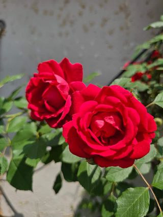 별다해님의 자유주제 · 사진전 작성글 사진