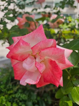 별다해님의 자유주제 · 사진전 작성글 사진