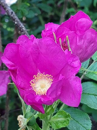 별다해님의 자유주제 · 사진전 작성글 사진