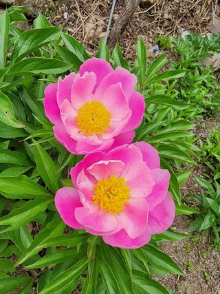 별다해님의 자유주제 · 사진전 작성글 사진