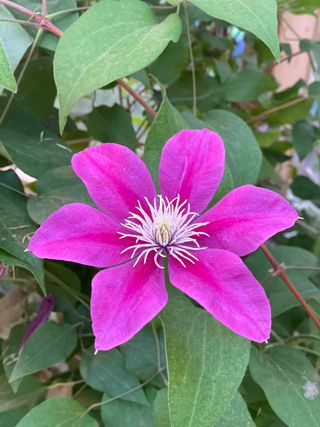 별다해님의 자유주제 · 사진전 작성글 사진