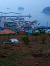 팜모닝 자유주제·사진전 게시글 이미지