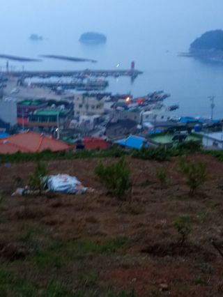 이미숙님의 자유주제 · 사진전 작성글 사진