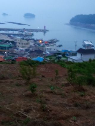 이미숙님의 자유주제 · 사진전 작성글 사진