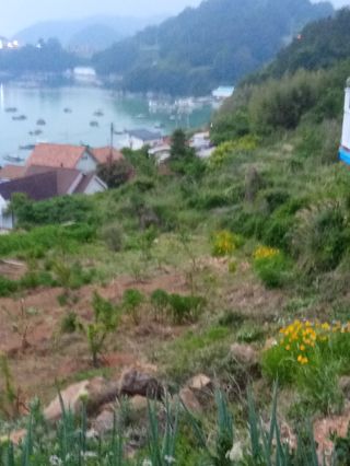 이미숙님의 자유주제 · 사진전 작성글 사진