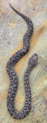 팜모닝 우리동네·동네수다 게시글 이미지