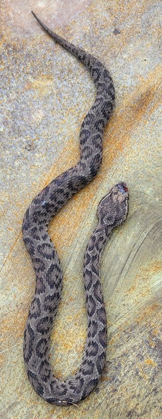 문도연님의 우리동네 · 동네수다 작성글 사진