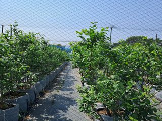 김재희님의 자유주제 · 사진전 작성글 사진