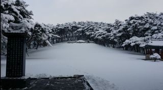 충남아산 이재문님의 자유주제 · 사진전 작성글 사진