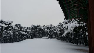 충남아산 이재문님의 자유주제 · 사진전 작성글 사진