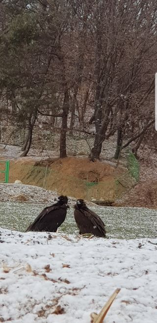 충남아산 이재문님의 자유주제 · 사진전 작성글 사진