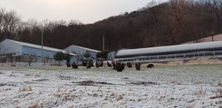 충남아산 이재문님의 자유주제 · 사진전 작성글 사진