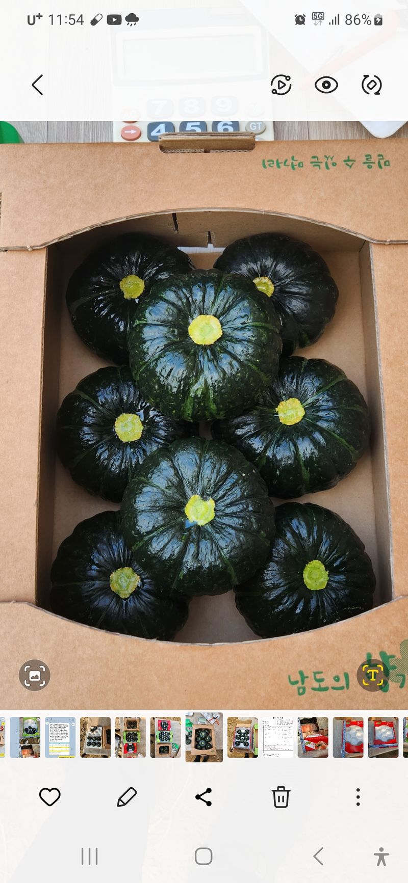 장터 상품 [무농약 햇 미니밤호박 2.5kg] 썸네일