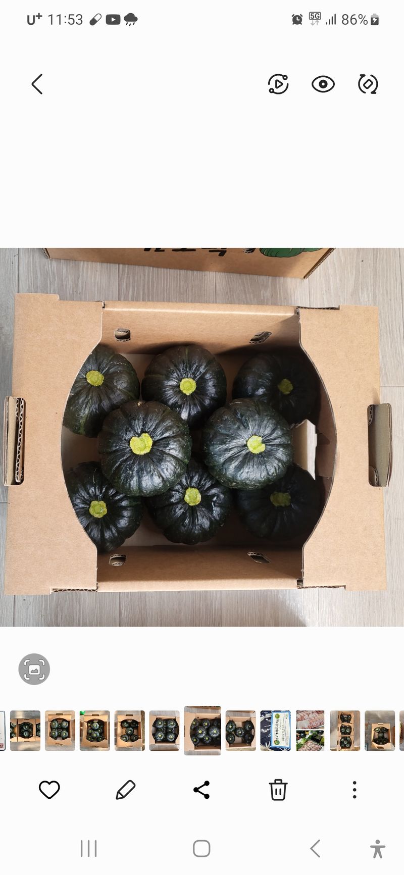 박태연님의 장터 판매 상품 [무농약 햇 미니밤호박 2.5kg] 첨부 사진