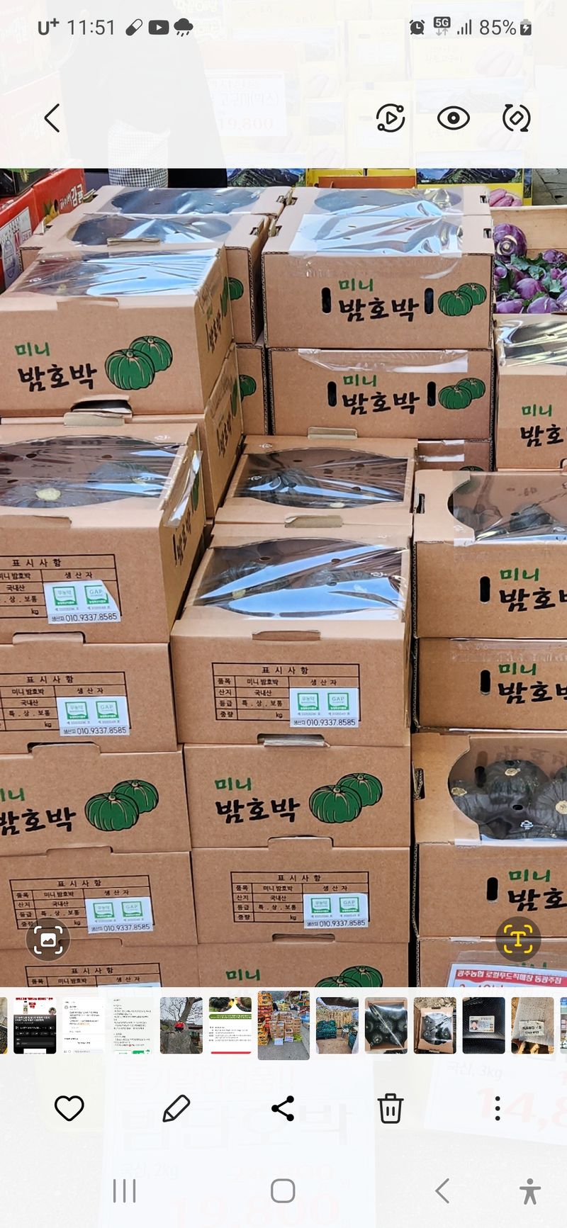 박태연님의 장터 판매 상품 [무농약 햇 미니밤호박 2.5kg] 첨부 사진