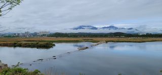 청마농원님의 자유주제 · 사진전 작성글 사진