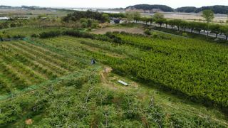 청마농원님의 자유주제 · 사진전 작성글 사진