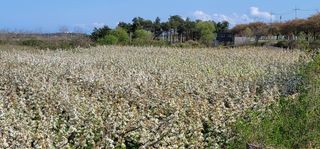 청마농원님의 자유주제 · 사진전 작성글 사진