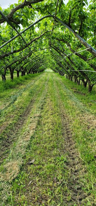 청마농원님의 자유주제 · 사진전 작성글 사진