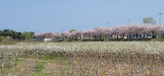청마농원님의 자유주제 · 사진전 작성글 사진