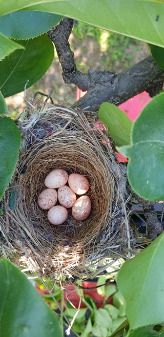 청마농원님의 자유주제 · 사진전 작성글 사진