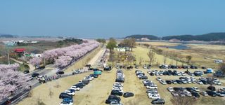 청마농원님의 자유주제 · 사진전 작성글 사진