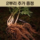 팜모닝 · 게시글 이미지