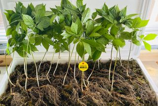 진상빈님의 작성글 사진