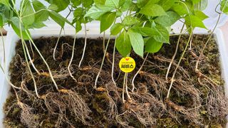 진상빈님의 작성글 사진