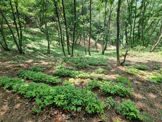 진상빈님의 작성글 사진