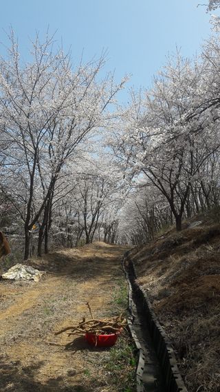 테리우스님의 우리동네 · 동네자랑 작성글 사진