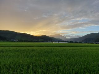 용기님의 자유주제 · 사진전 작성글 사진