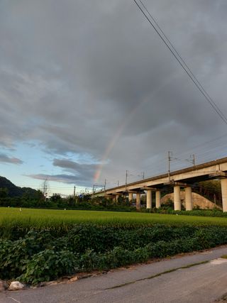 용기님의 자유주제 · 사진전 작성글 사진