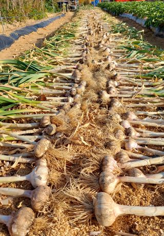 osm님의 우리동네 · 동네수다 작성글 사진