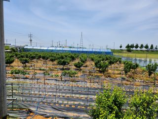 채효정님의 기타작물 · 자유게시판 작성글 사진