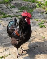 팜모닝 자유주제·사진전 게시글 이미지