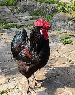 김재열님의 자유주제 · 사진전 작성글 사진