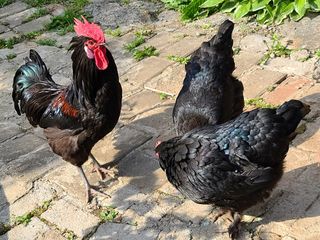 김재열님의 자유주제 · 사진전 작성글 사진