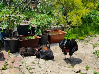 김재열님의 자유주제 · 사진전 작성글 사진