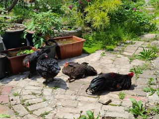 김재열님의 자유주제 · 사진전 작성글 사진