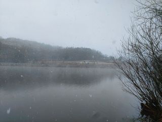 댕이골표영환님의 자유주제 · 사진전 작성글 사진