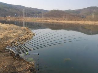 댕이골표영환님의 자유주제 · 사진전 작성글 사진