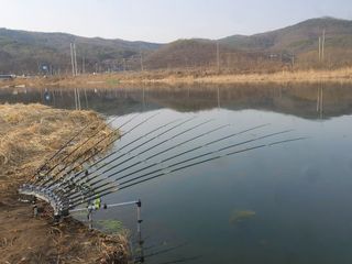 댕이골표영환님의 자유주제 · 사진전 작성글 사진